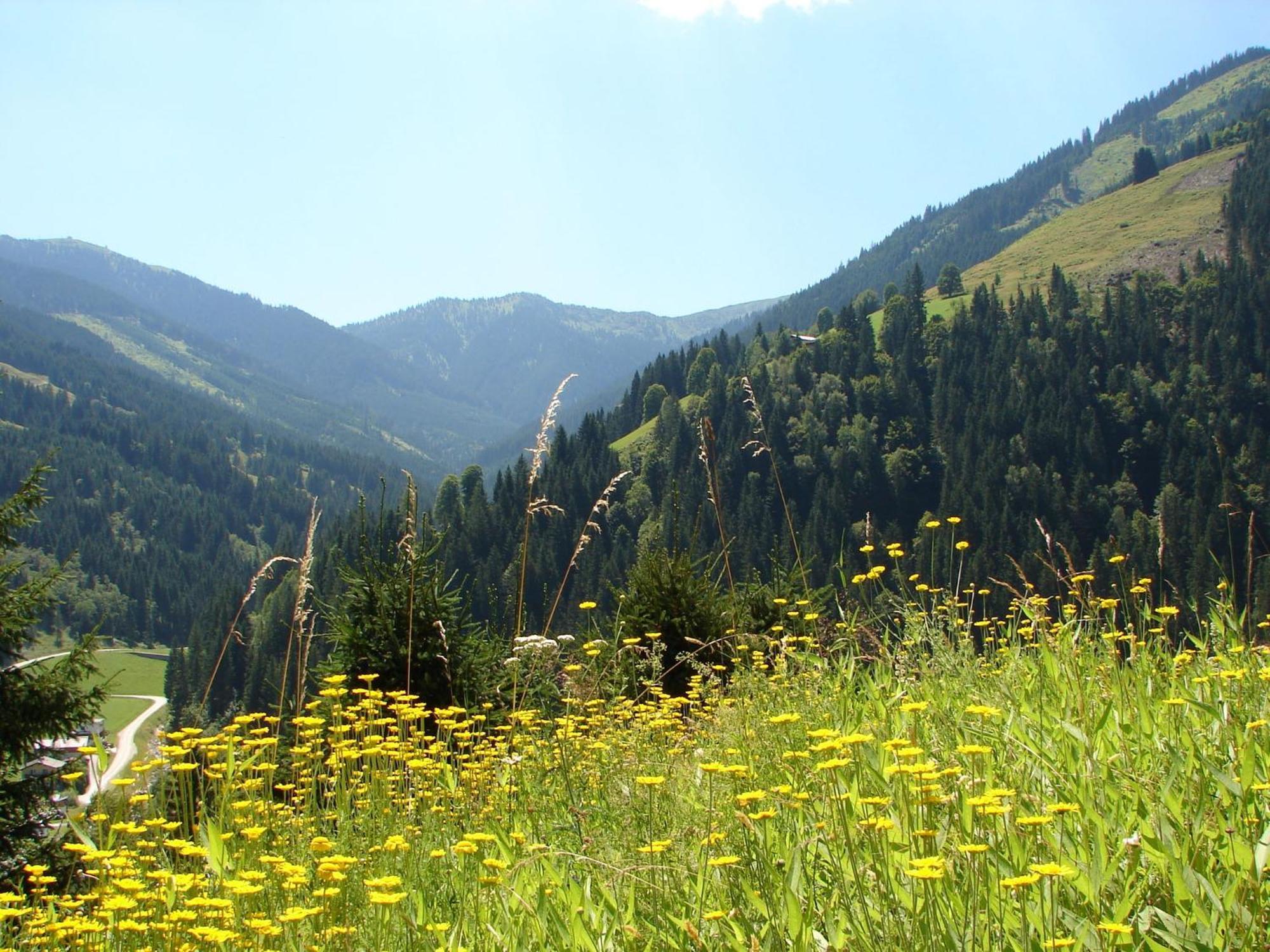 Chalet Huski Viehhofen Saalbach-Hinterglemm Luaran gambar